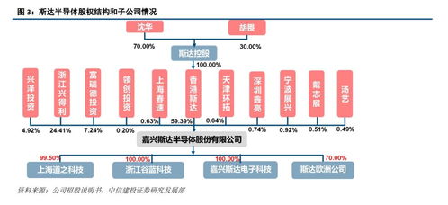 斯達半導 IGBT模塊國內領先廠商，有望受益于國產替代與行業(yè)增長