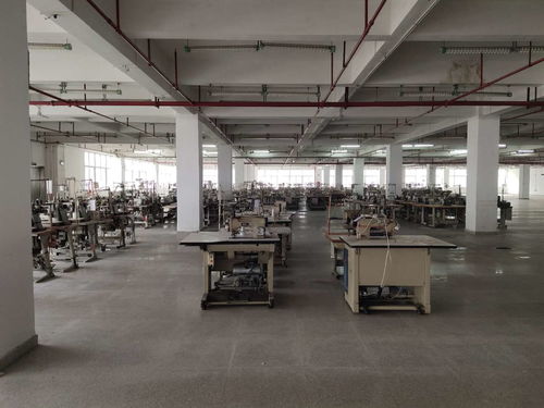 花都區(qū)學校建筑抗震安全檢測鑒定工作全面展開，權(quán)威機構(gòu)助力筑牢校園安全防線